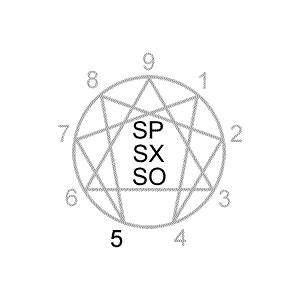 <strong>Enneagram</strong> Type 5 Countertypes often don't act like the stereotypical type 5. . Sx5 enneagram